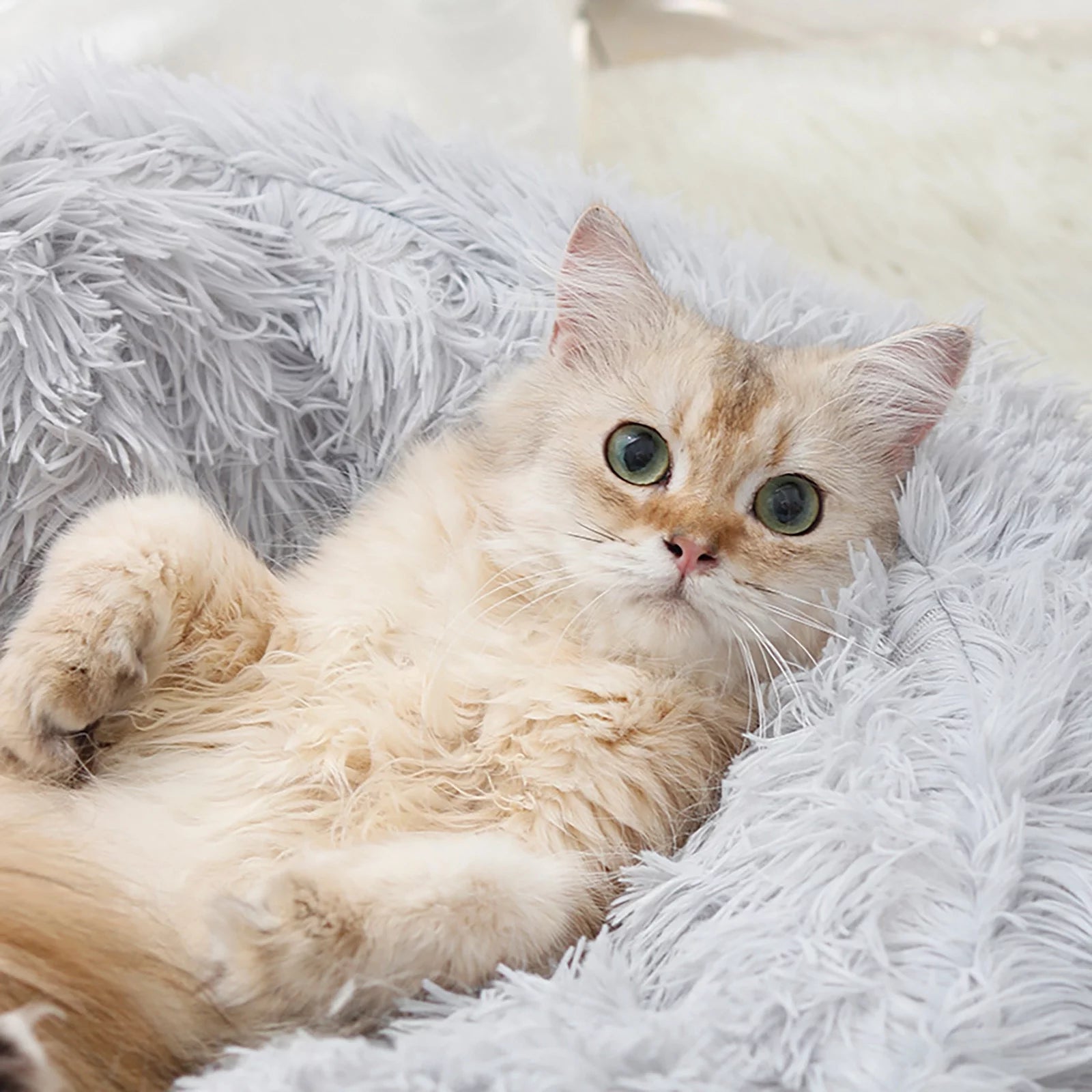 Anti-Anxiety Calming Cat Cave 